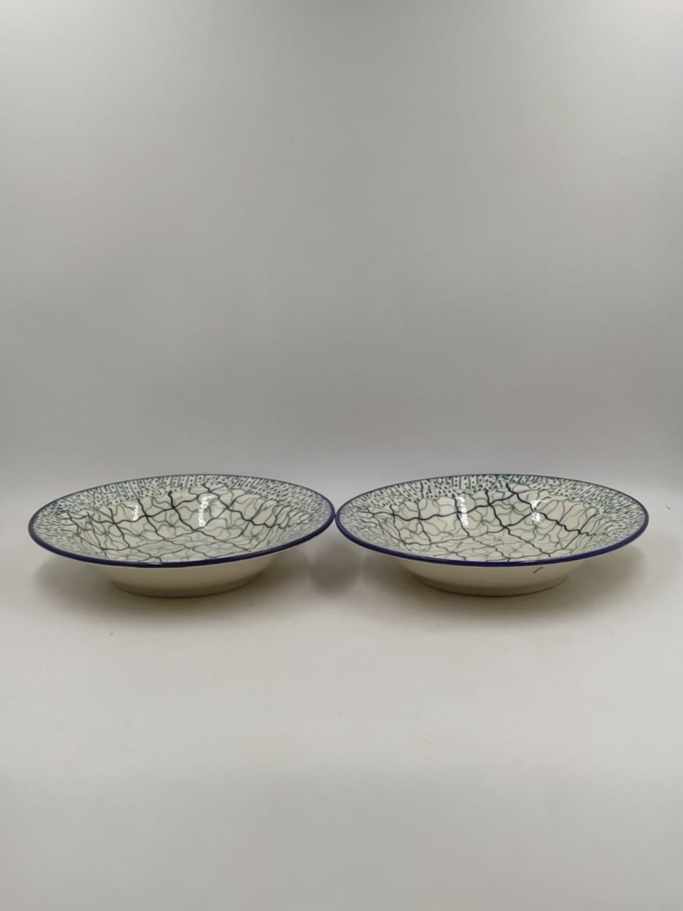 Soup PLates wiremesh 3